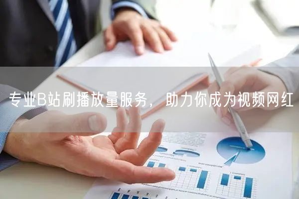 专业B站刷播放量服务，助力你成为视频网红