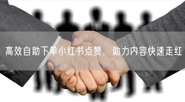 高效自助下单小红书点赞，助力内容快速走红