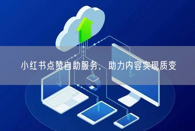 小红书点赞自助服务，助力内容实现质变