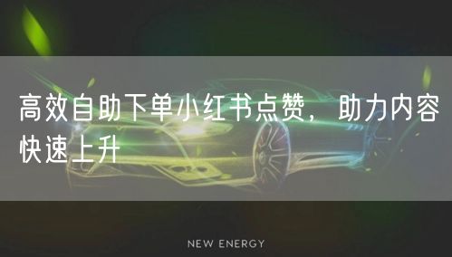 高效自助下单小红书点赞，助力内容快速上升